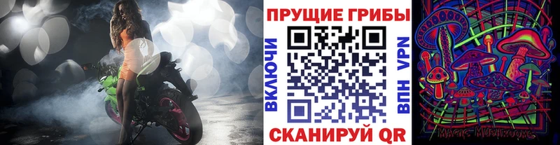hydra зеркало  Салаир  Псилоцибиновые грибы Cubensis 